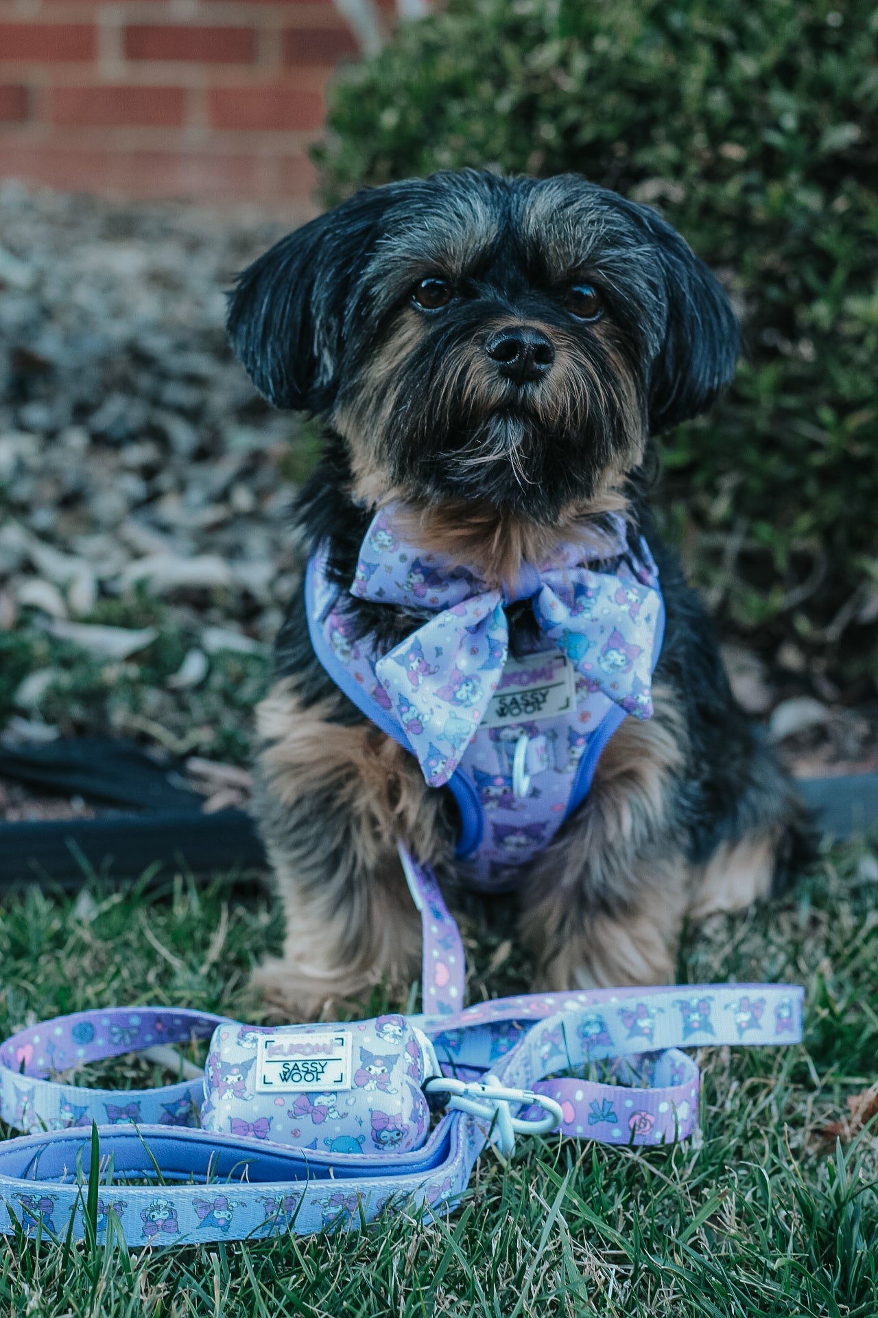 Dog Waste Bag Holder - Kuromi™