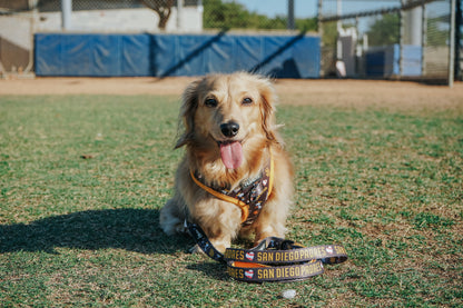 Harness Three Piece Bundle - MLB™ x Peanuts™ San Diego Padres™