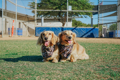 Dog Bandana - MLB™ x Peanuts™ San Diego Padres™