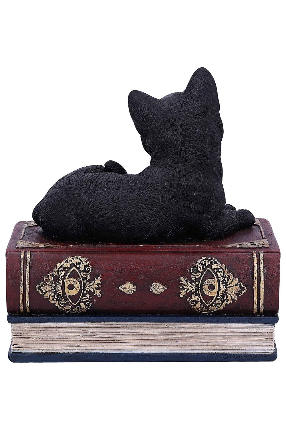 Black Cat Book Box