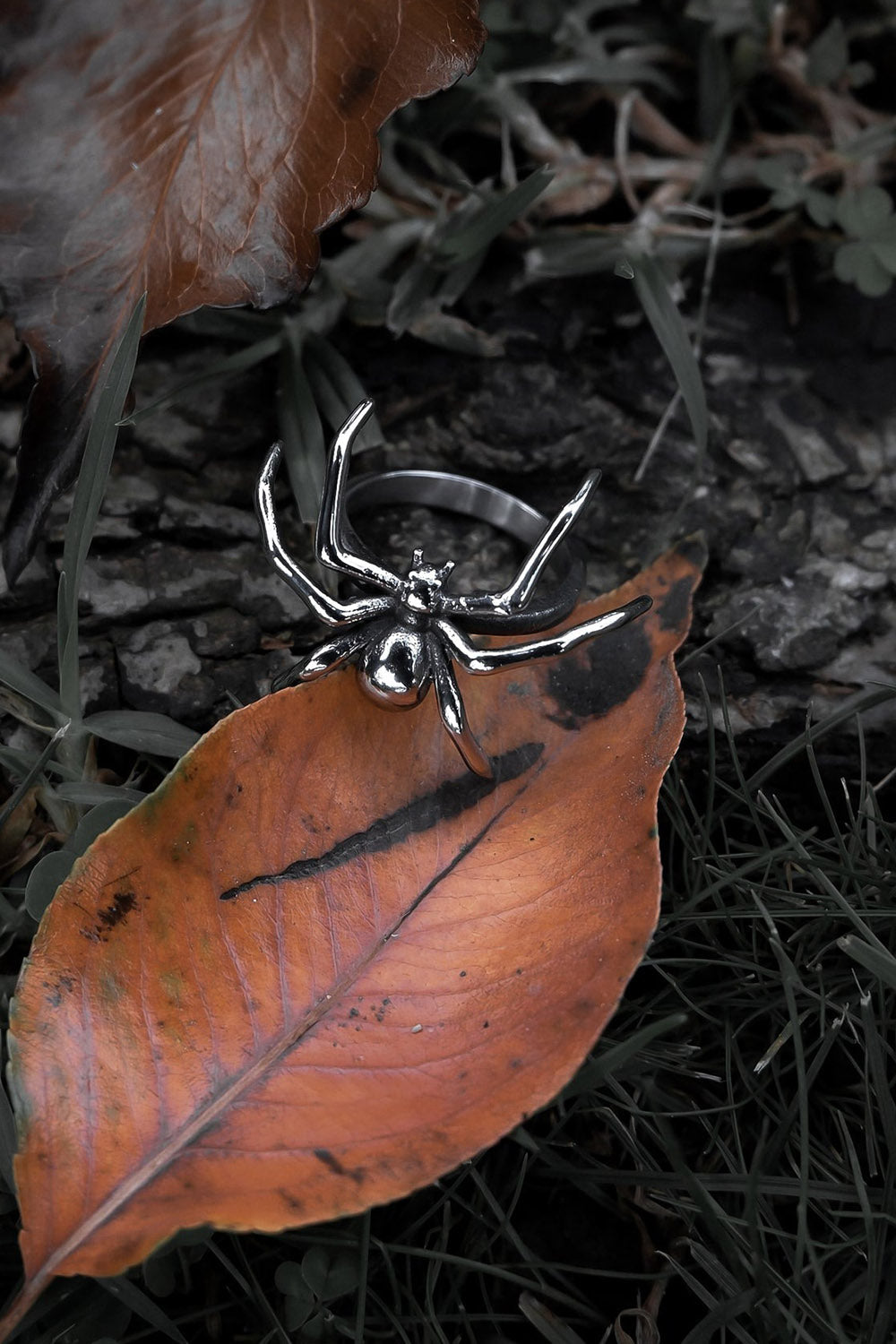 Aranea Ring