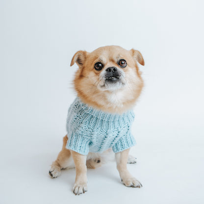 Pet Cable Knit Sweater - Light Blue