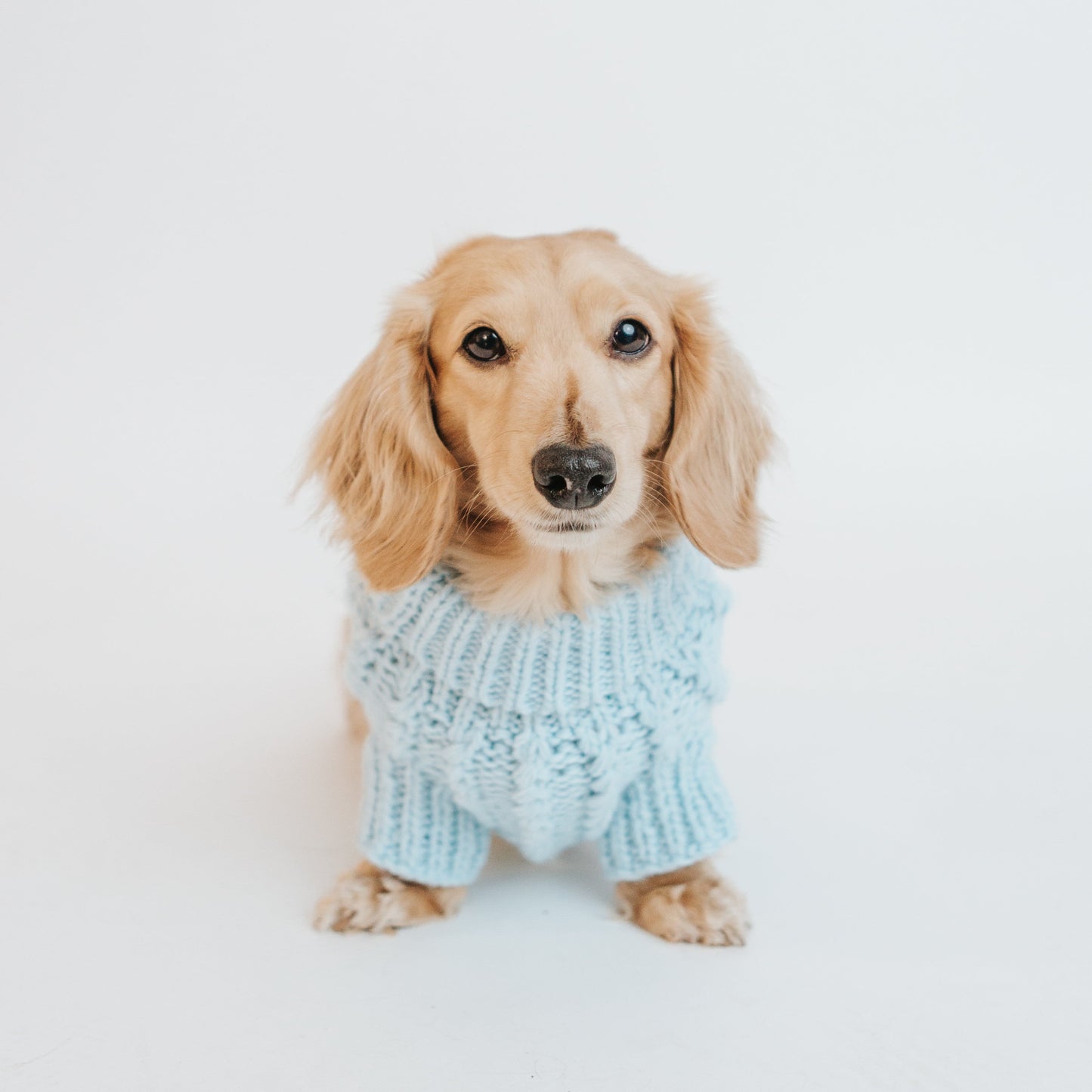 Pet Cable Knit Sweater - Light Blue