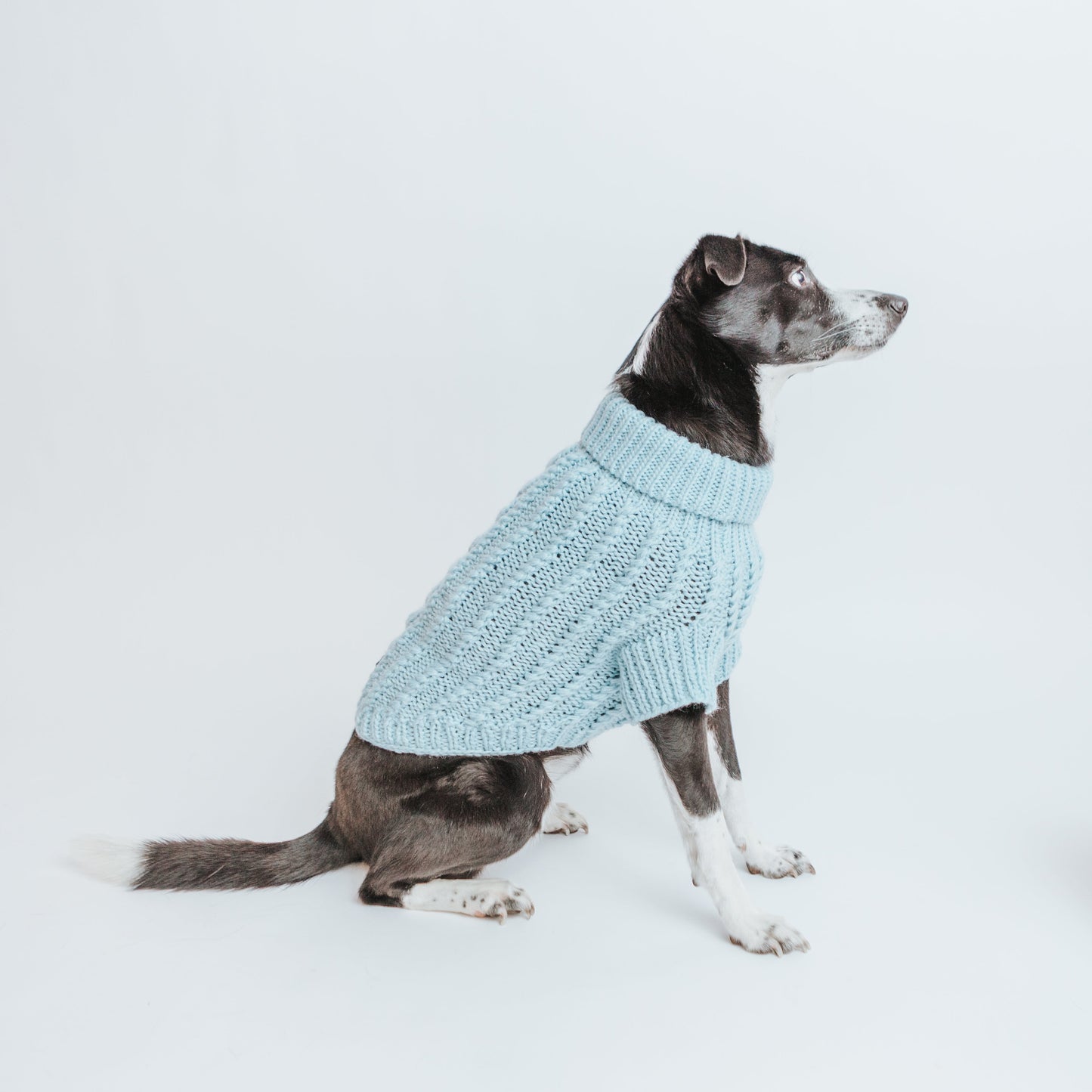 Pet Cable Knit Sweater - Light Blue