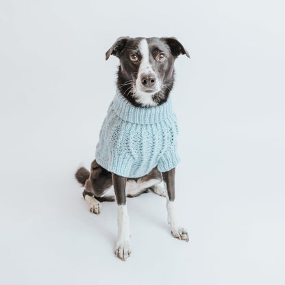 Pet Cable Knit Sweater - Light Blue