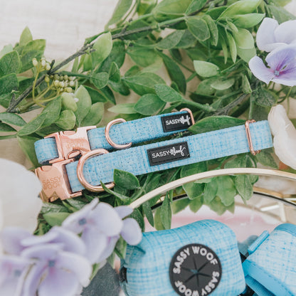 Dog Collar Three Piece Bundle - Blumond