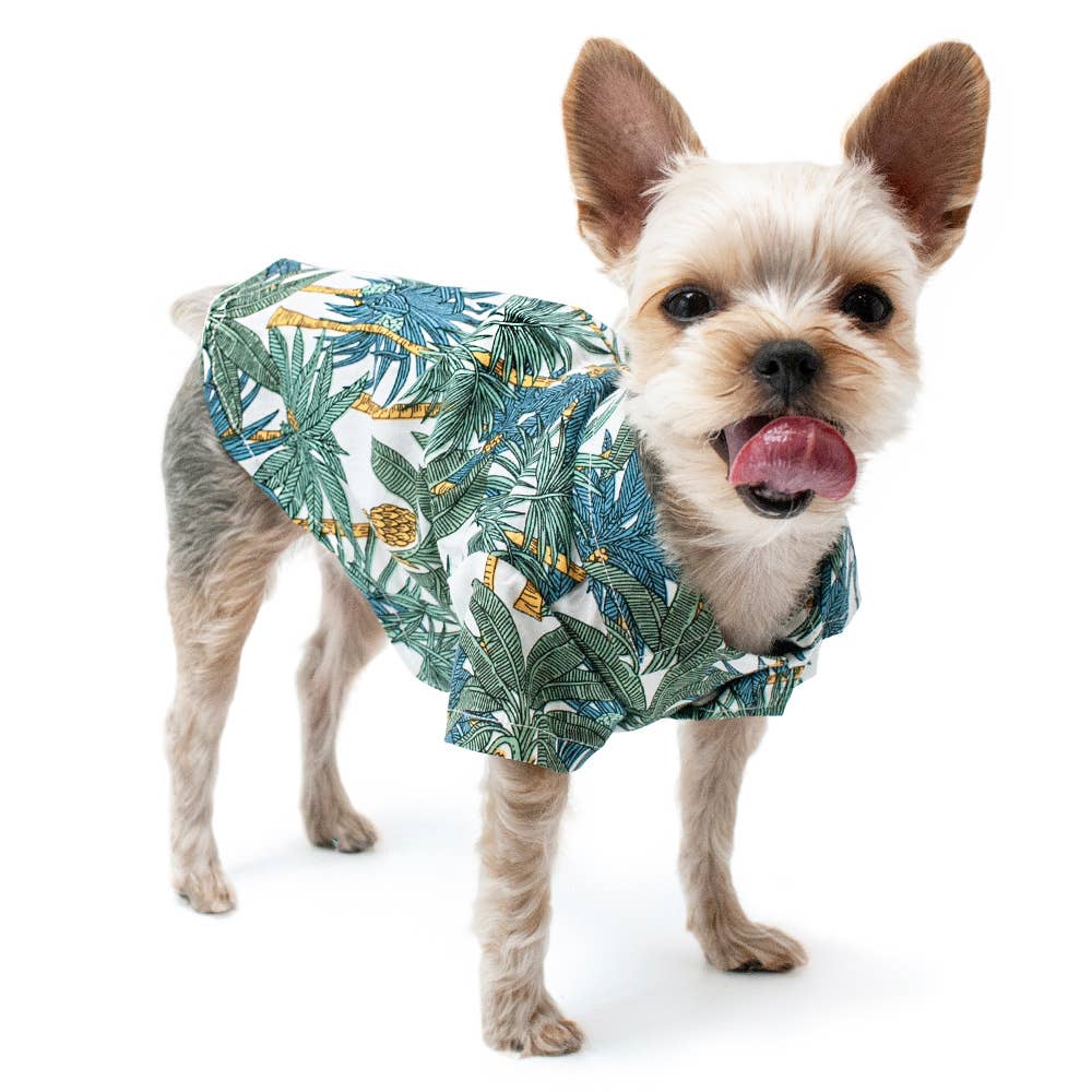 Dogo Pet - Tropical Leaf Shirt