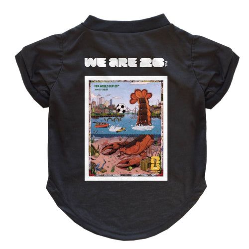 Little Earth Productions - 2026 FIFA World Cup Host City Pet T-Shirt