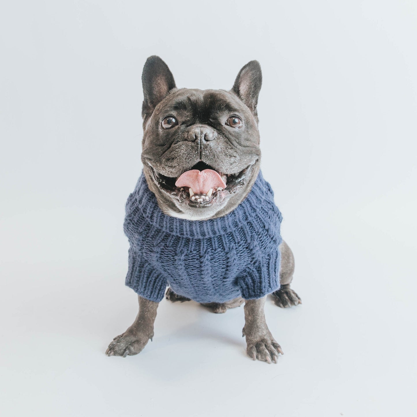 Pet Cable Knit Sweater - Navy