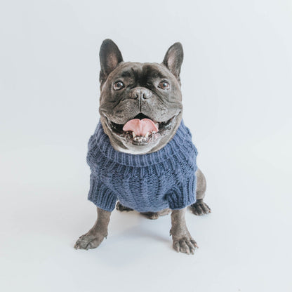 Pet Cable Knit Sweater - Navy