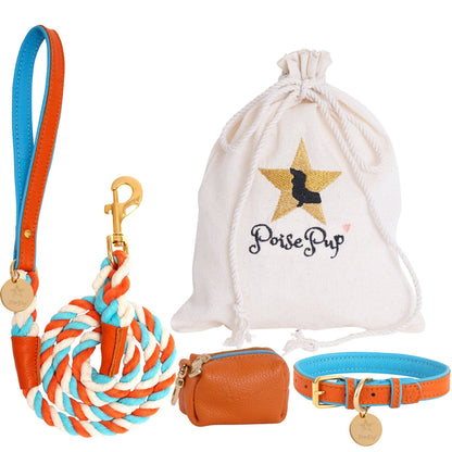 PoisePup - COLLAR - VIBRANT SUNSET