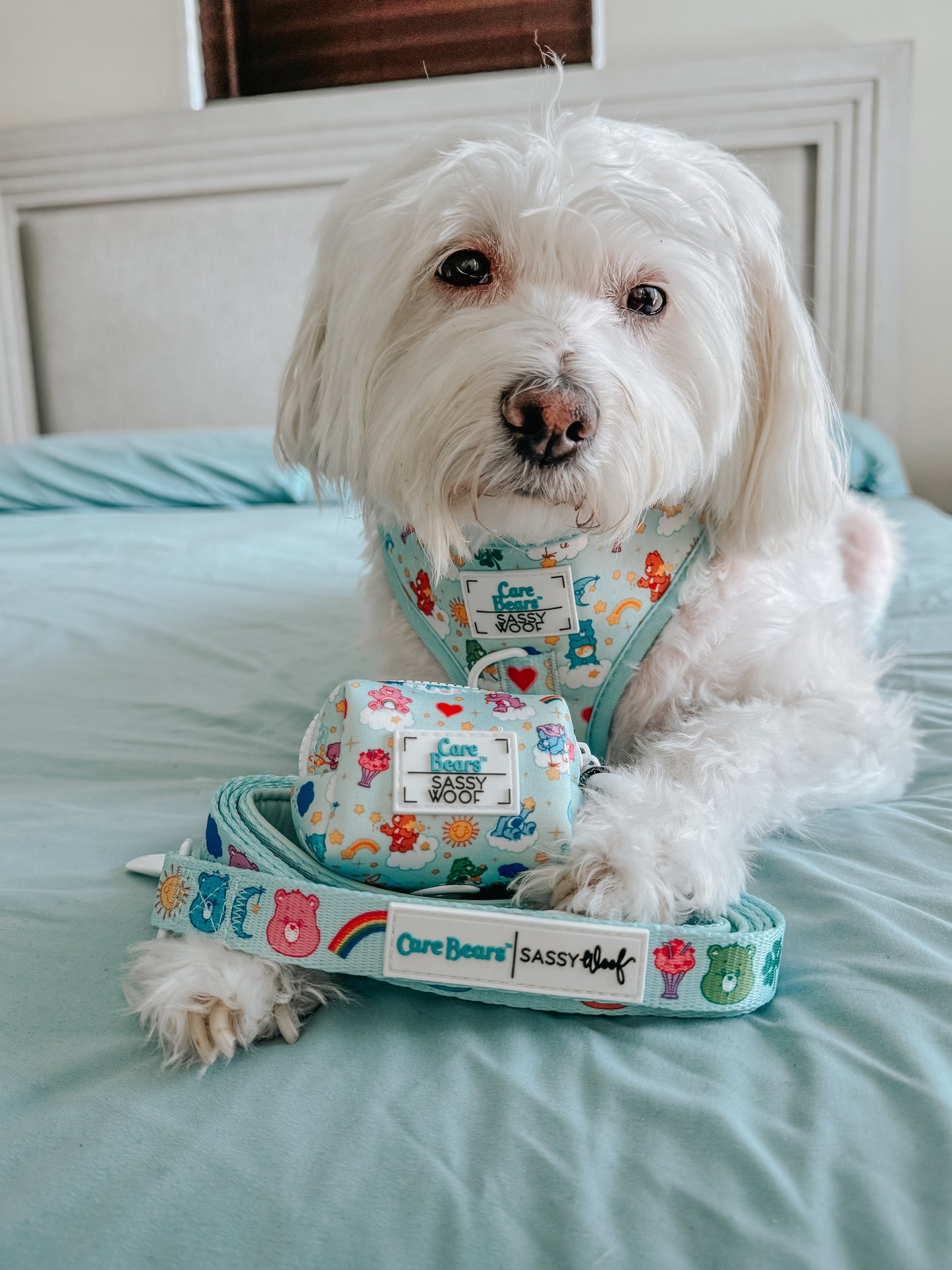 Dog Waste Bag Holder - Care Bears™ Care-a-Lot