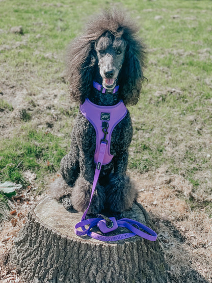 Dog Adjustable Harness - Neon Purple
