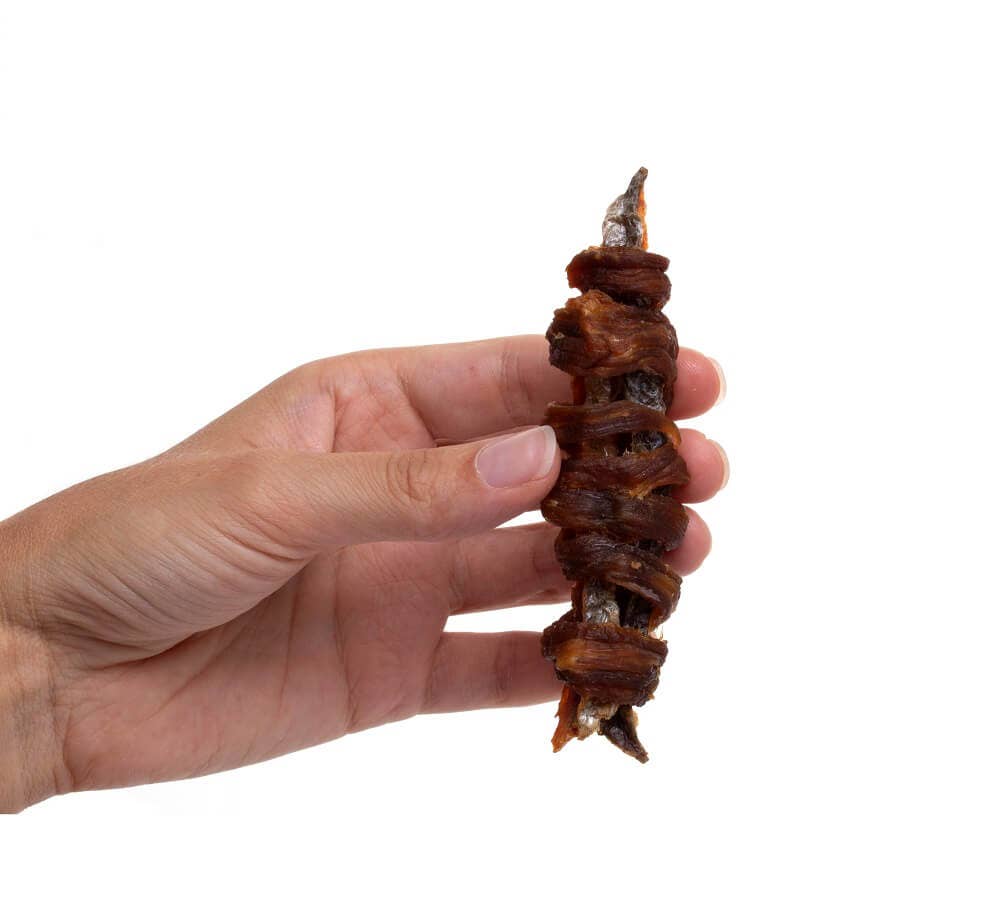 Preen Pets - Wild Alaskan Salmon & Sirloin Beef Twists – Fish Dog Treats