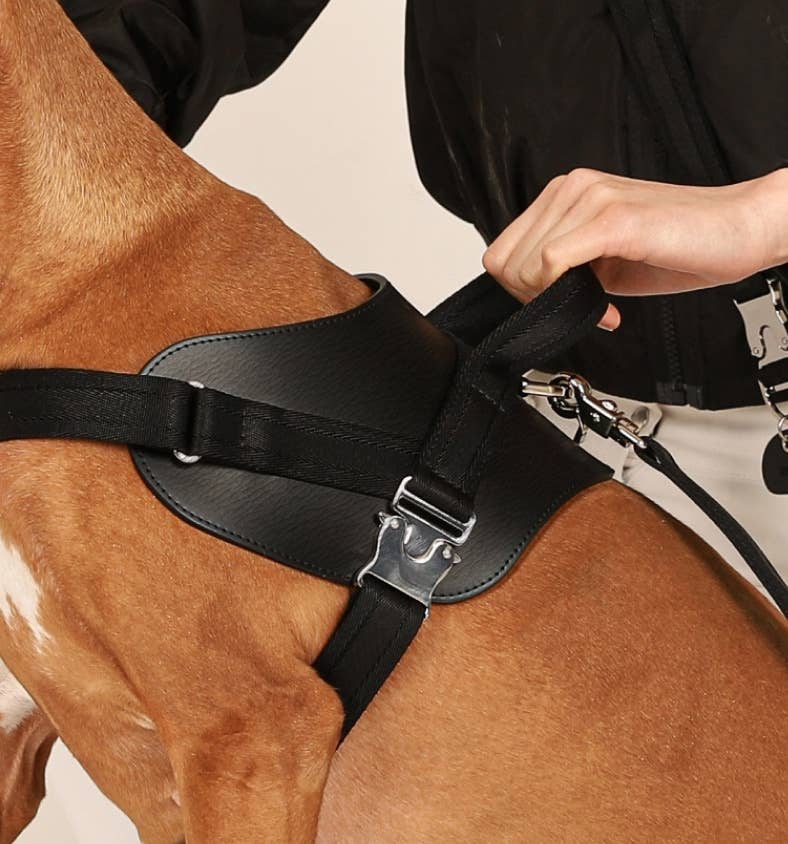 Hozi - Saddle Harness - Black