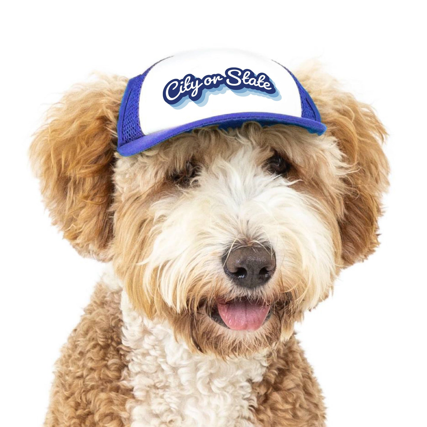 PupLid - Custom Retro Text | Trucker Hat for Dogs