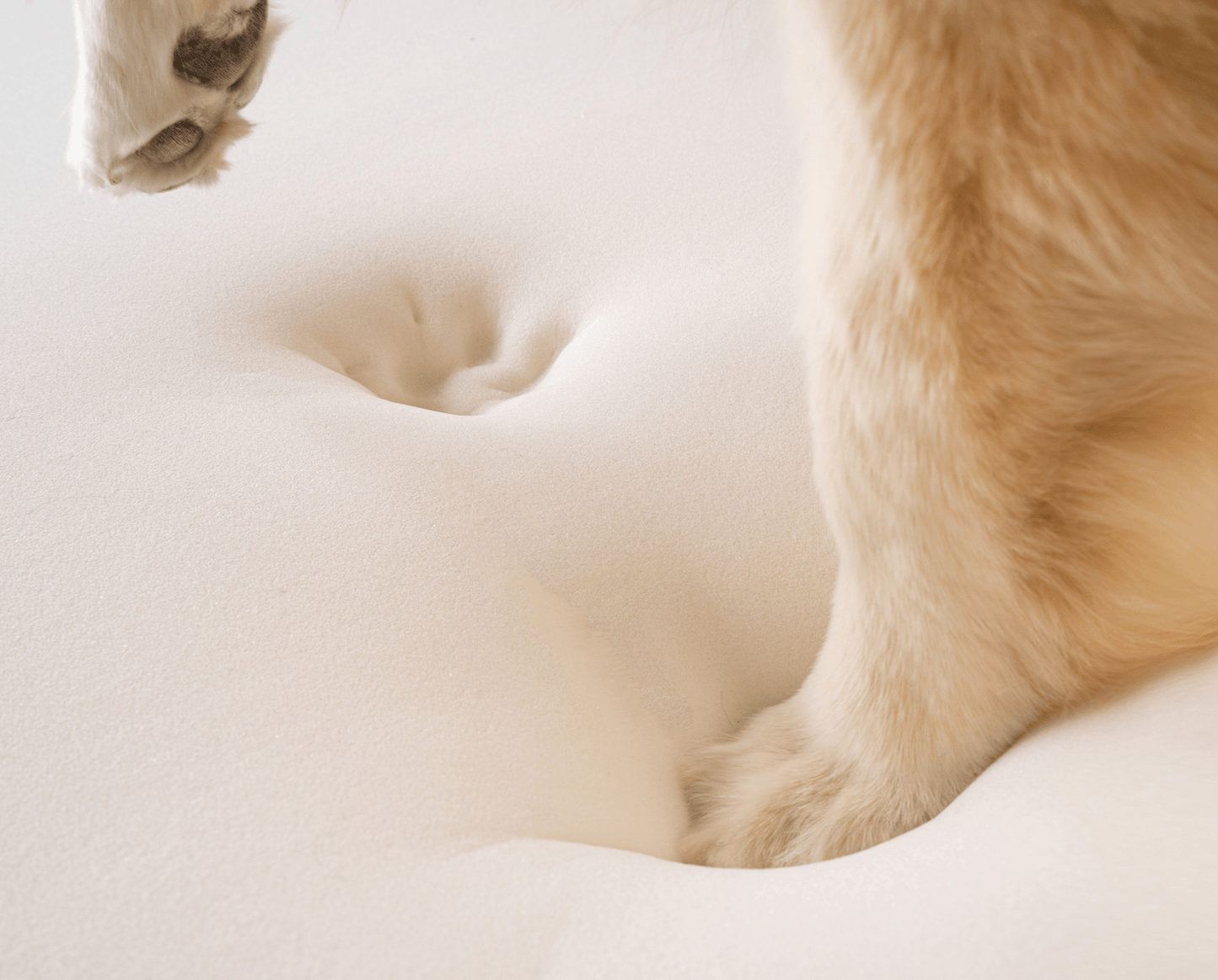 Paw Brands - PupRug by Paw.com™ Faux Fur Orthopedic Dog Bed - Curve Sable Tan