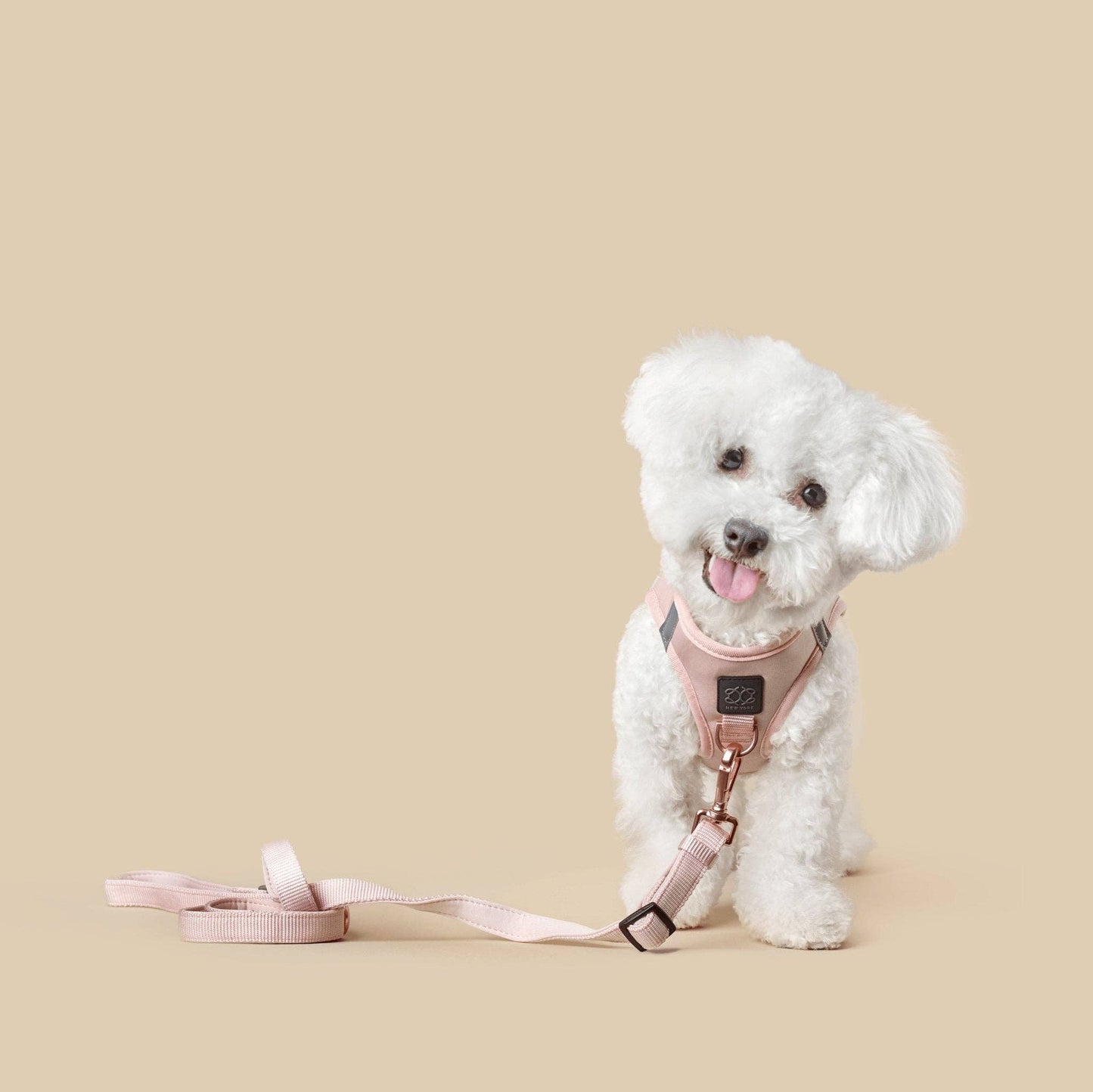 Dogistry™ - City Dog Leash - Blush