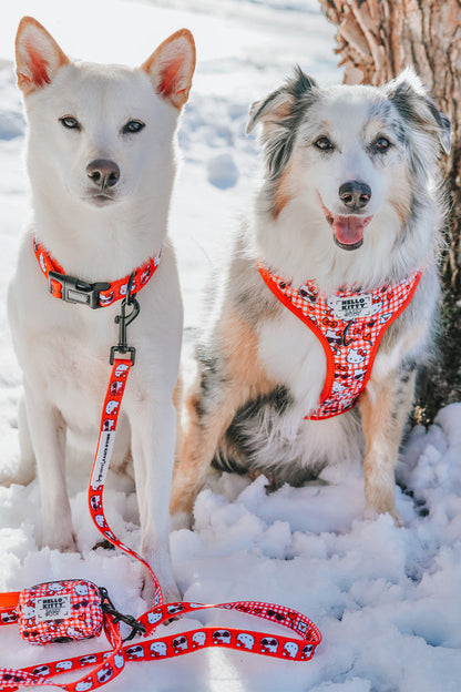 Dog Collar Three Piece Bundle - Hello Kitty® Red Classic