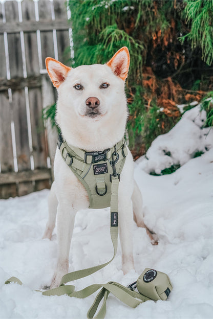 Dog Step-in Harness - Matcha