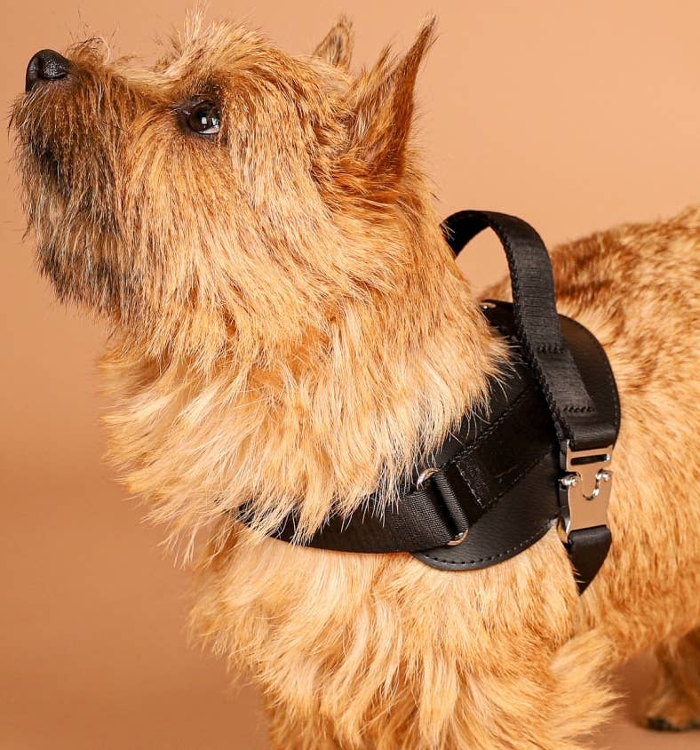 Hozi - Saddle Harness - Black
