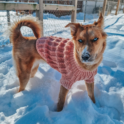 Pet Cable Knit Sweater - Pink