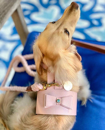PoisePup - HARNESS - BELLA ROSE