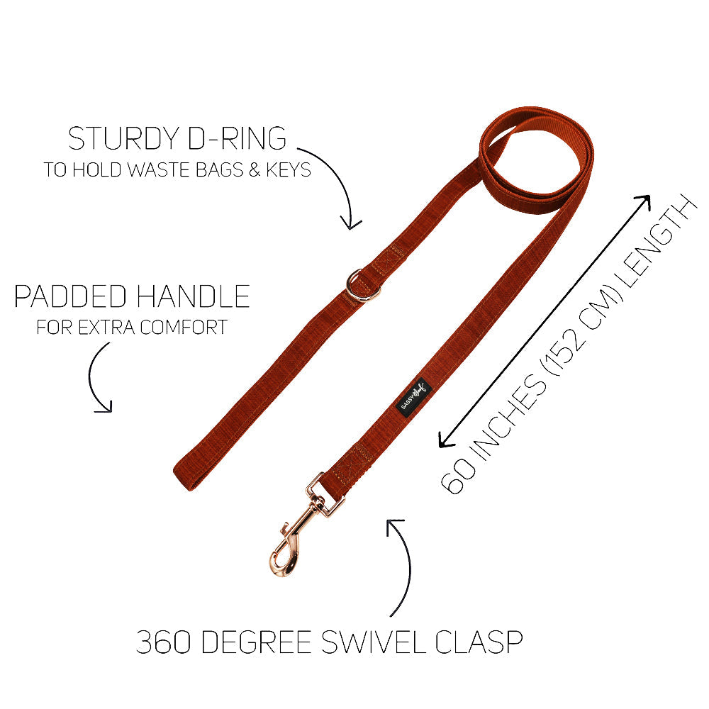 Dog Collar Three Piece Bundle - Foxy