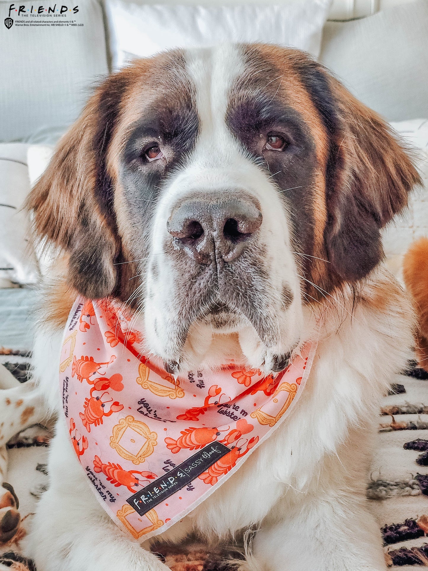 Dog Bandana - Friends™ (Lobster)