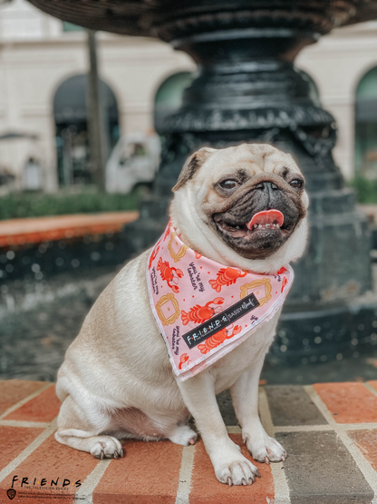 Dog Bandana - Friends™ (Lobster)