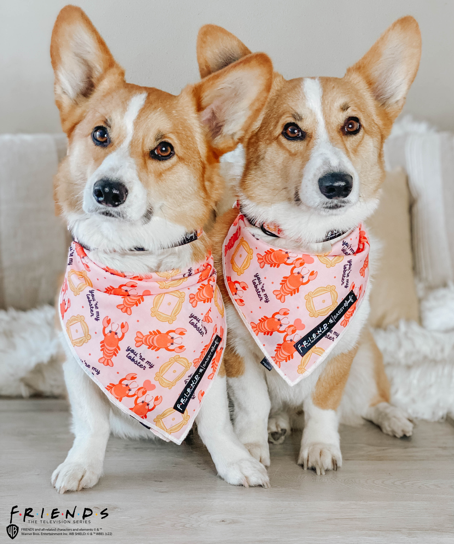 Dog Bandana - Friends™ (Lobster)
