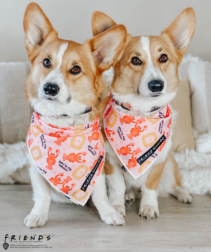 Dog Bandana - Friends™ (Lobster)
