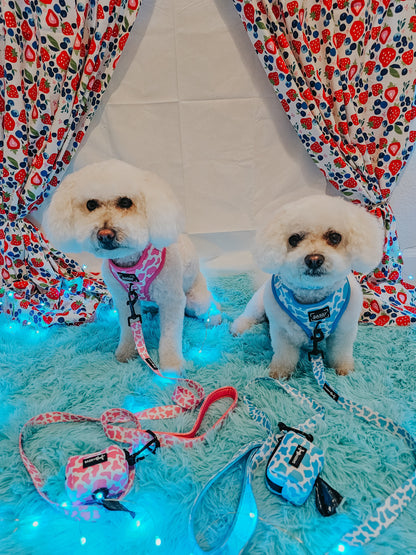 Dog Three Piece Bundle - Blueberry Milk
