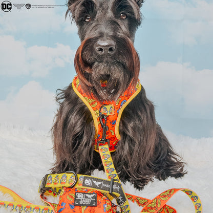 Dog Four Piece Bundle - Wonder Woman™