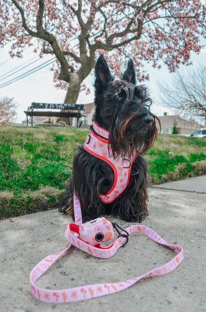 Dog Collar - Western Barbie™