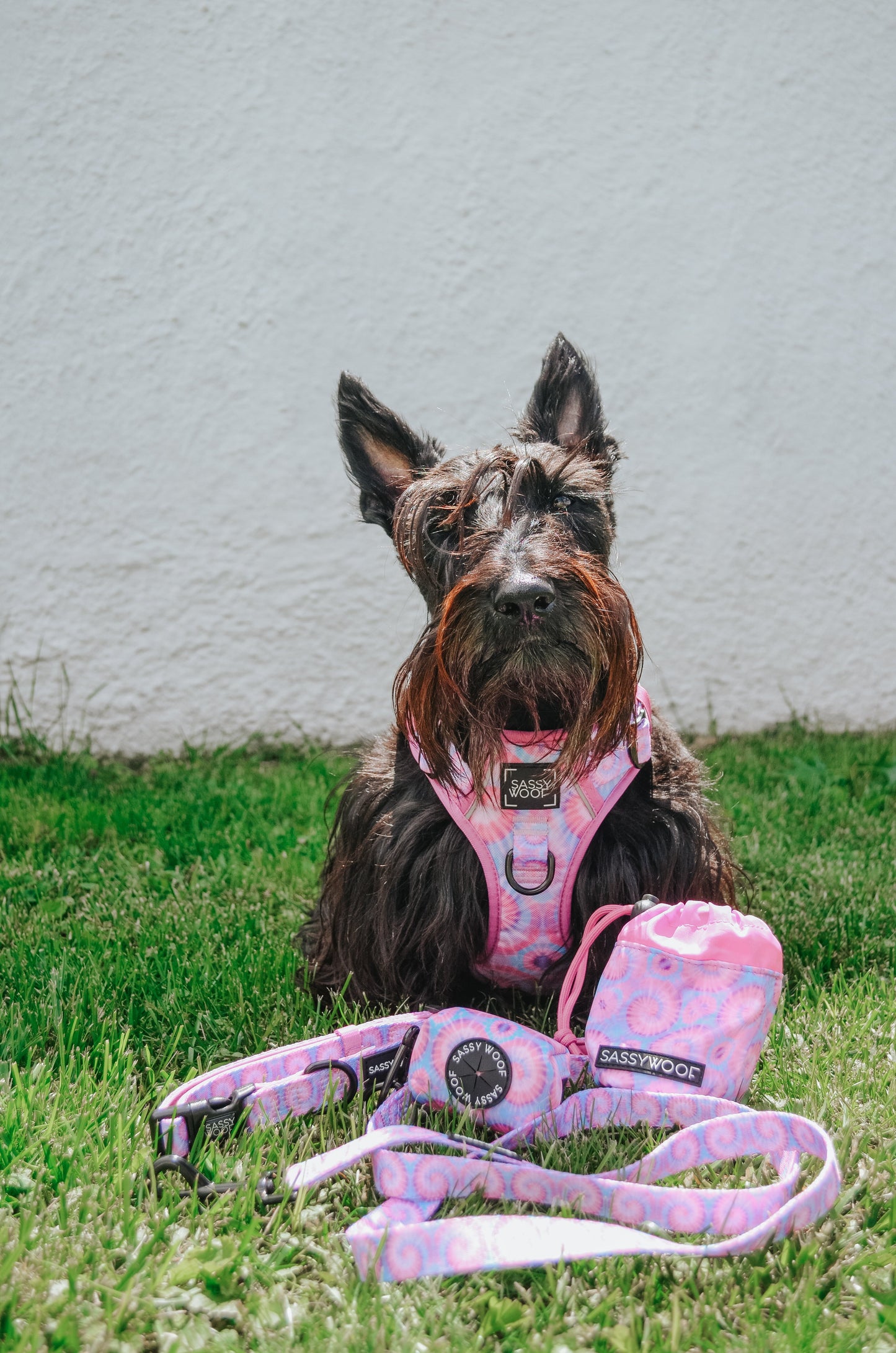 Dog Two Piece Bundle - Purple Haze