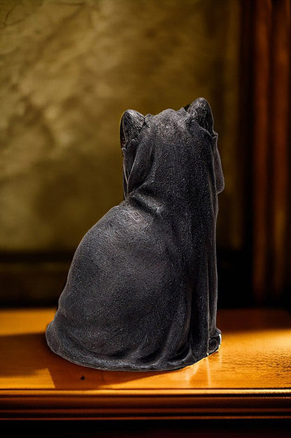Black Cloak Cat