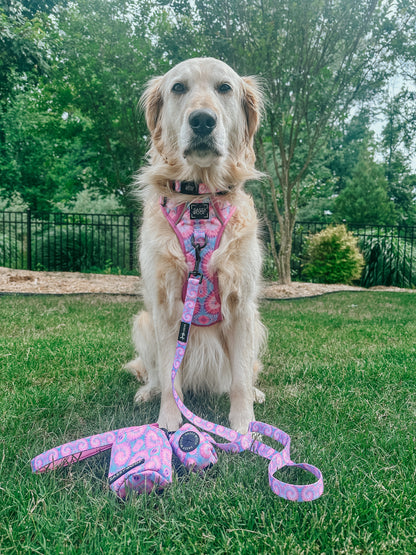 Dog Two Piece Bundle - Purple Haze