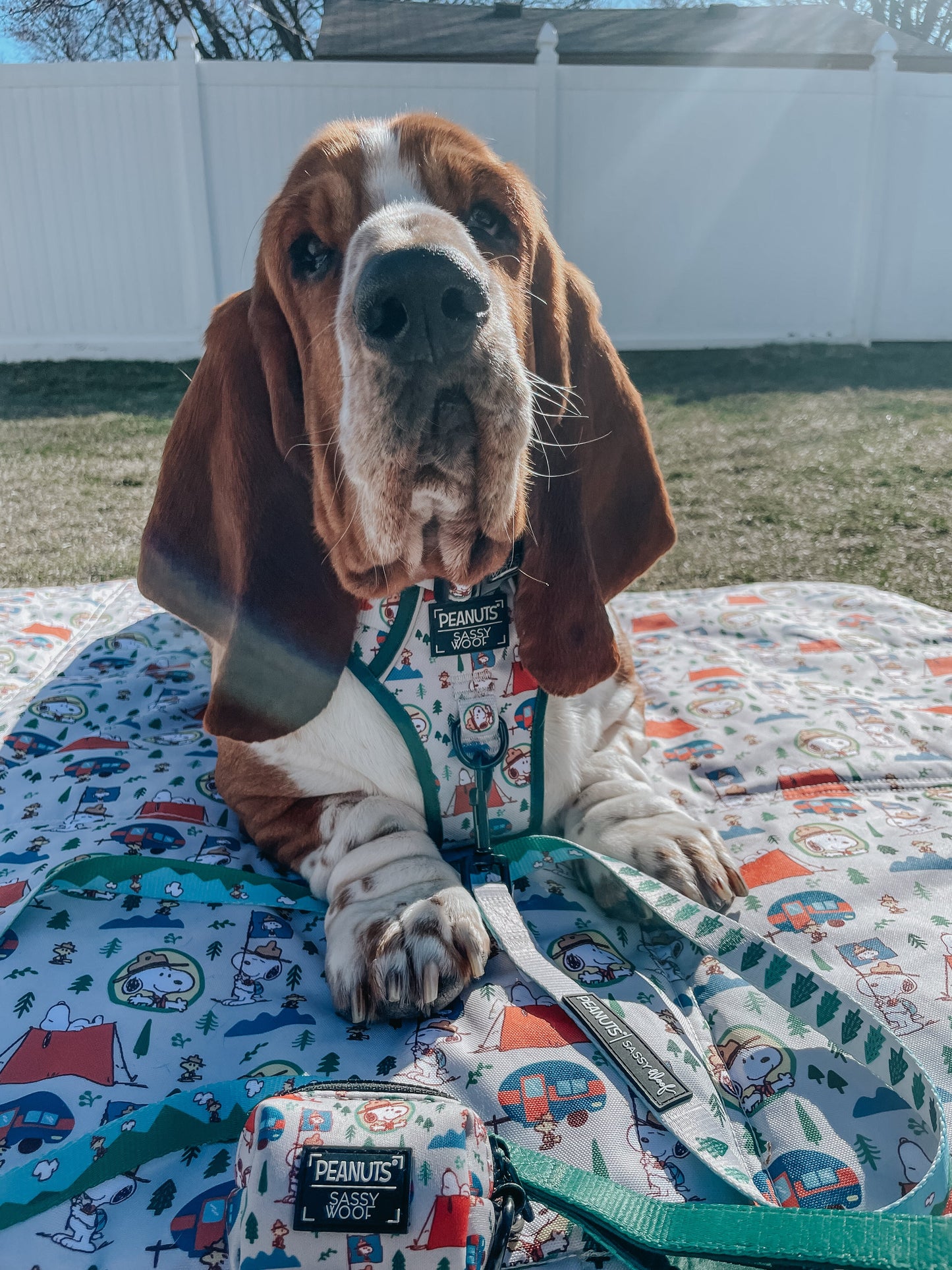 Dog Four Piece Bundle - Peanuts™ Beagle Scouts