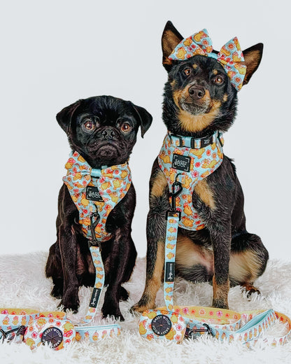 Dog Collar - Good Duck, Babe!