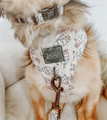 Dog Collar - Spill the Tea
