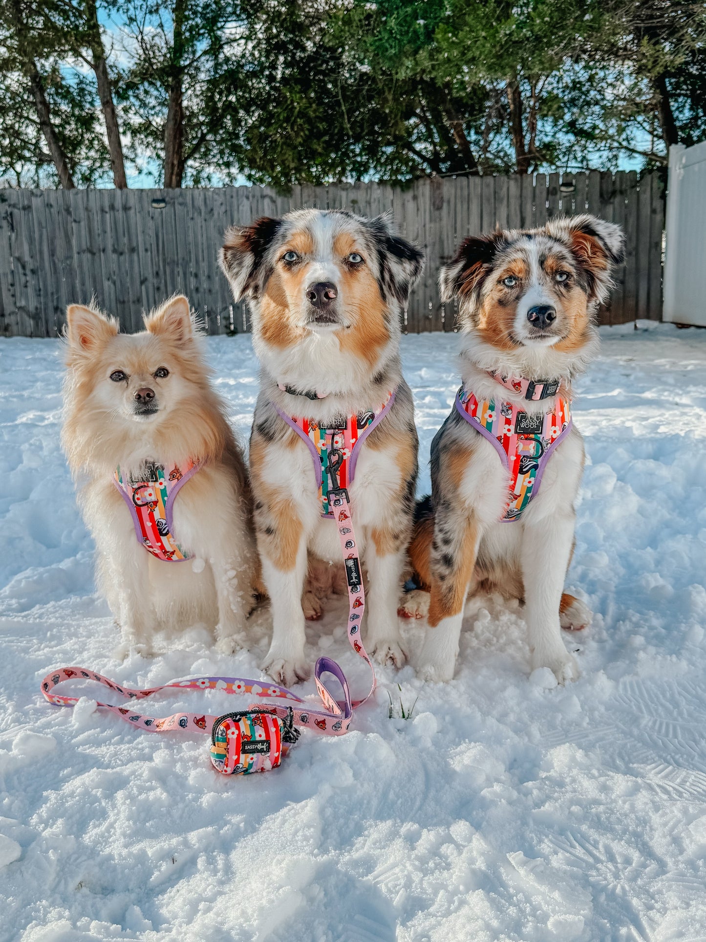 Dog Four Piece Bundle - Disney's Bambi