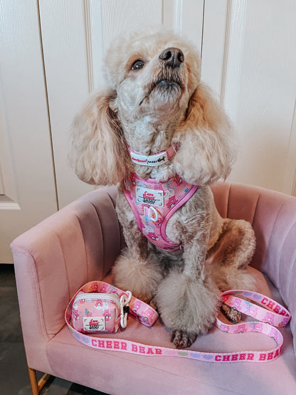 Dog Collar Three Piece Bundle - Care Bears™ Cheer Bear