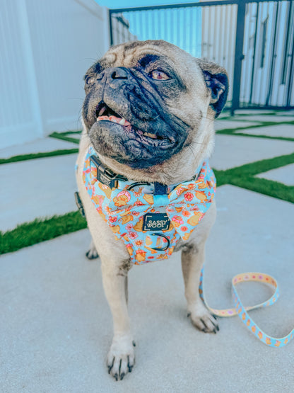 Dog Collar - Good Duck, Babe!