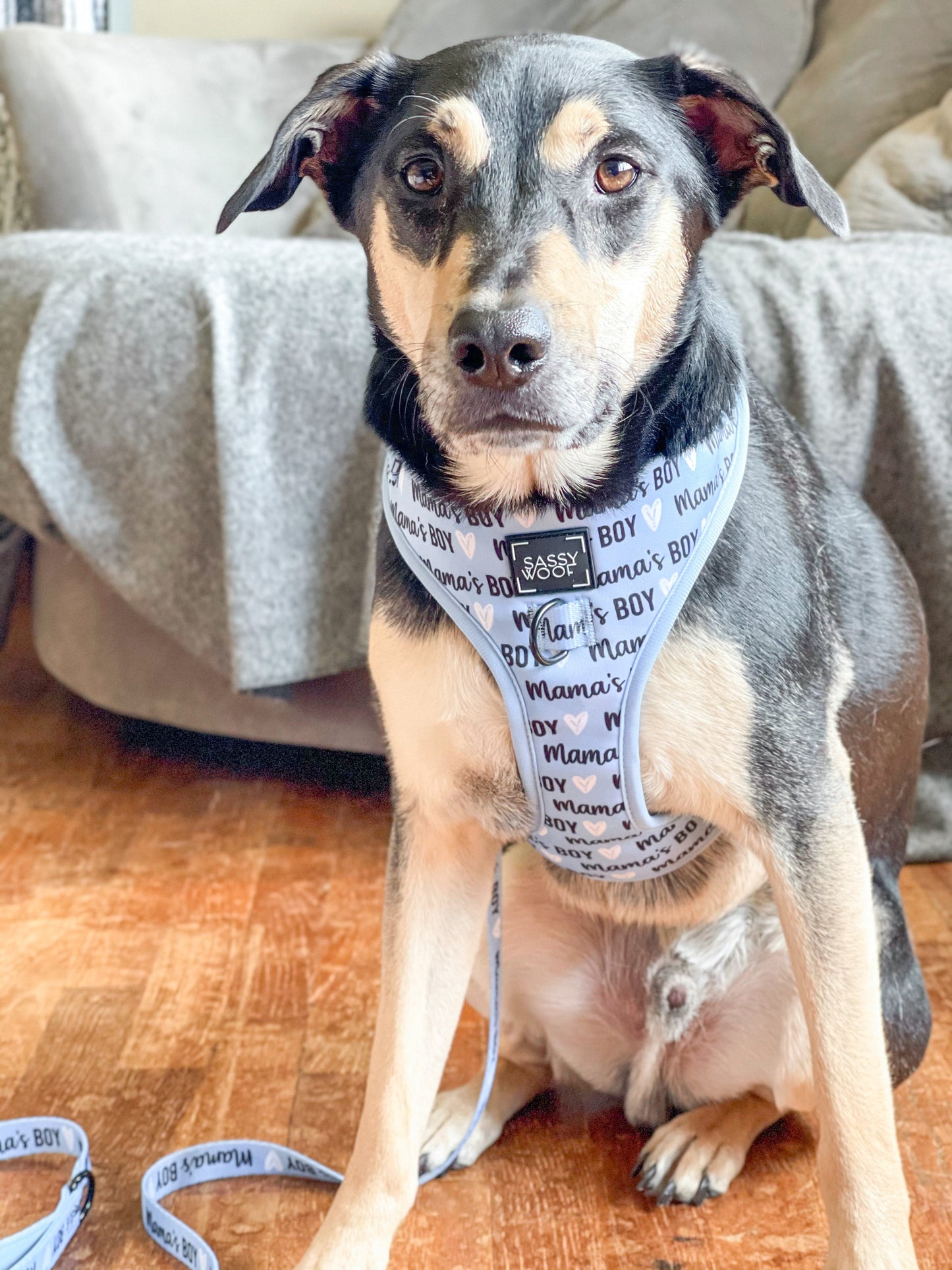 Dog Two Piece Bundle - Mama's Boy