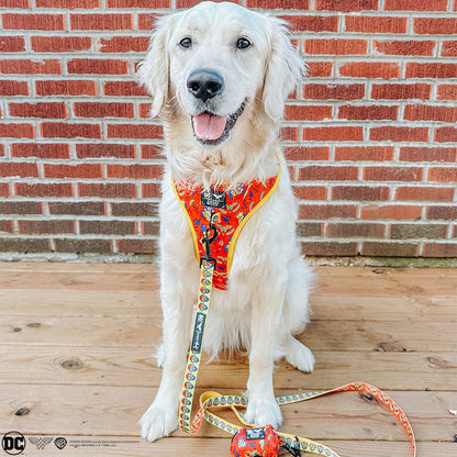 Dog Leash - Wonder Woman™