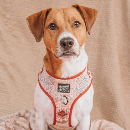 Dog Two Piece Bundle - Harry Potter™ Marauder's Map™
