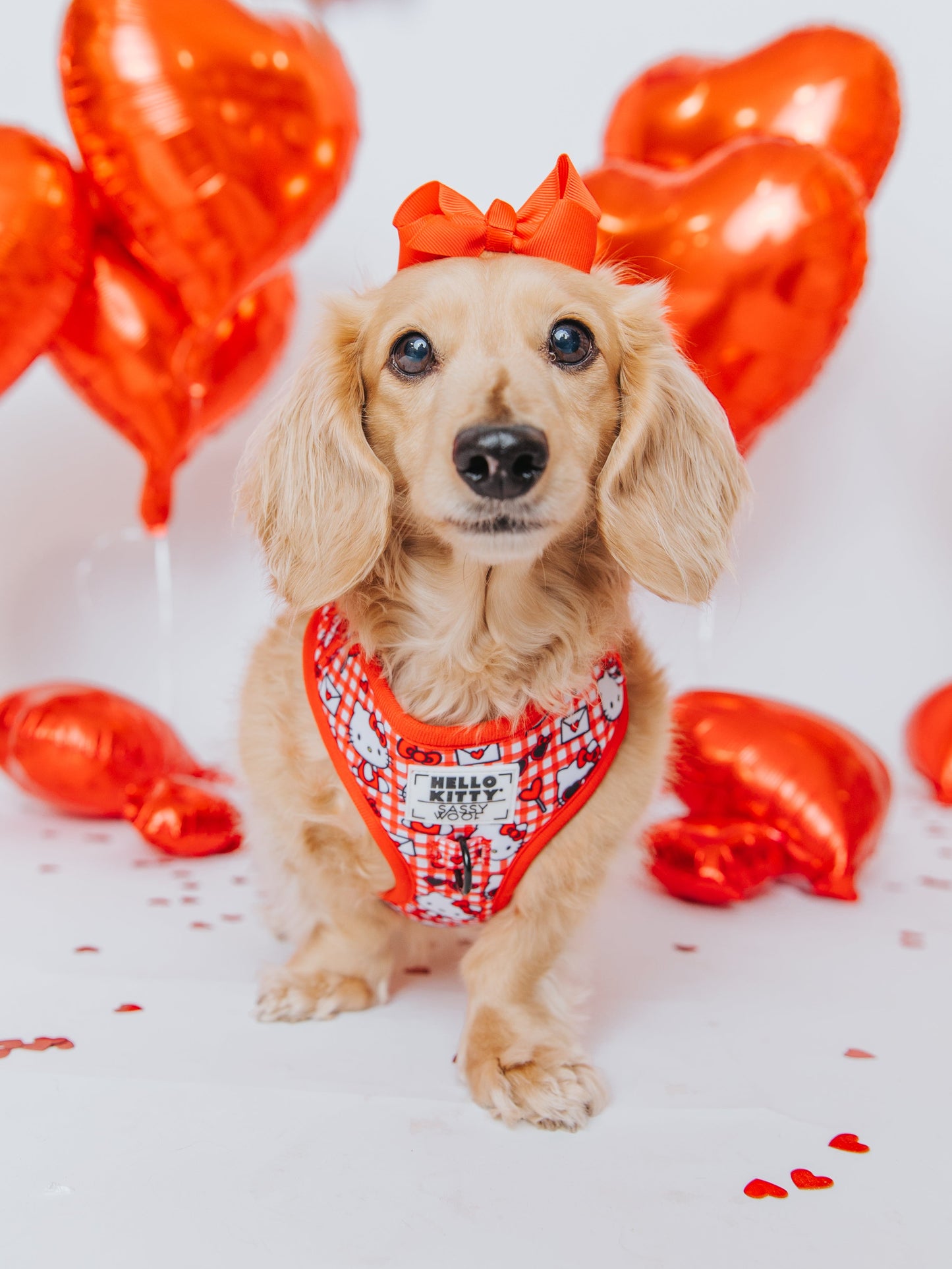 Dog Two Piece Bundle - Hello Kitty® Red Classic
