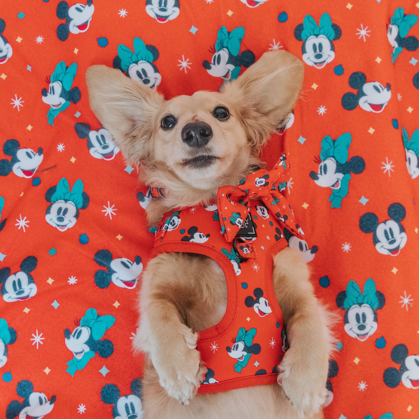 Pet Blanket - Disney Holiday Collection