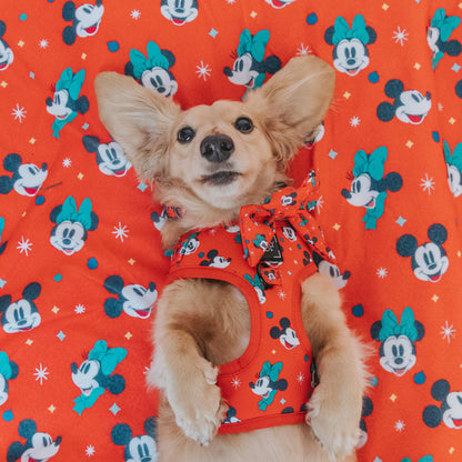 Pet Blanket - Disney Holiday Collection